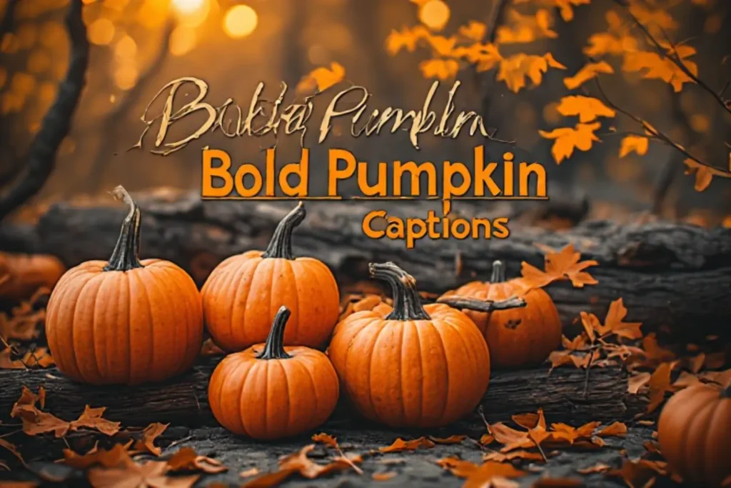 Bold Pumpkin Instagram Captions